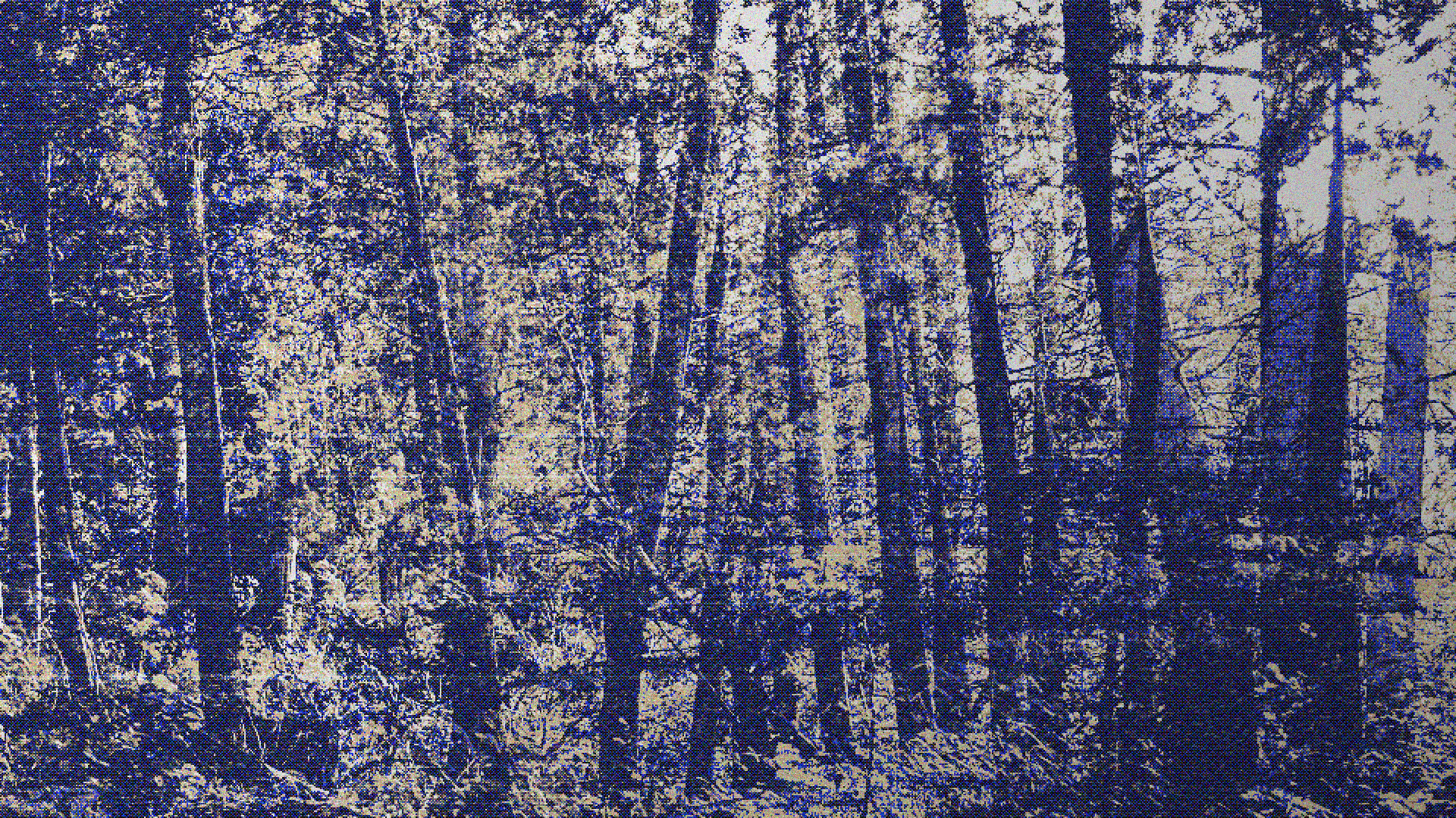 Noise background